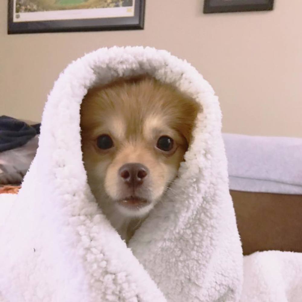 Meet your Posher, Stephanie